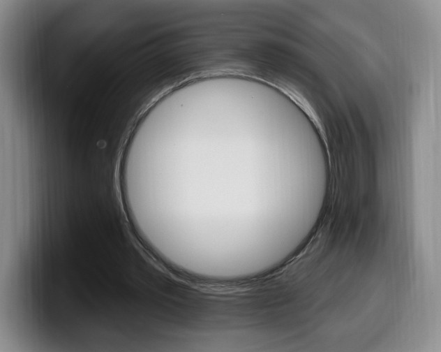 X0000099970389200805231006