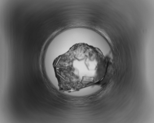 X0000099970395200805231006