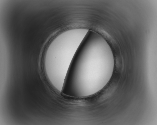 X0000099970396200805231006