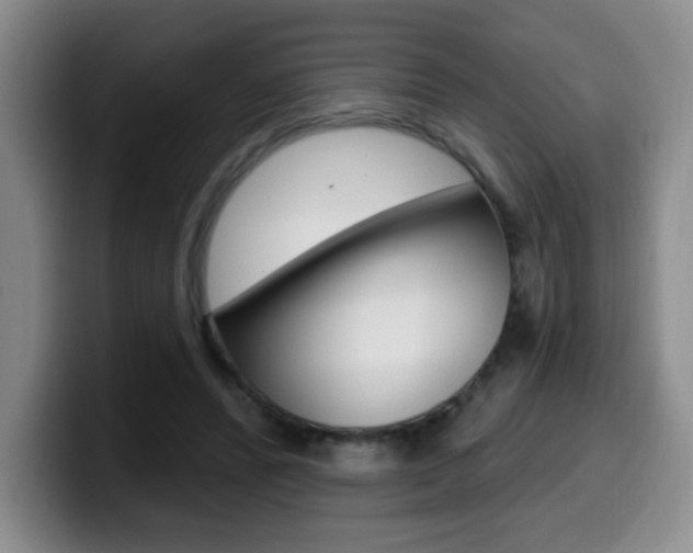X0000099970400200805231006