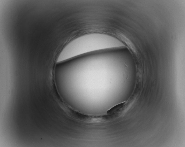 X0000099970401200805231006