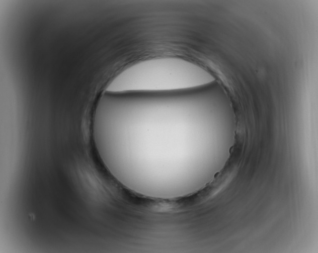 X0000099970402200805231006