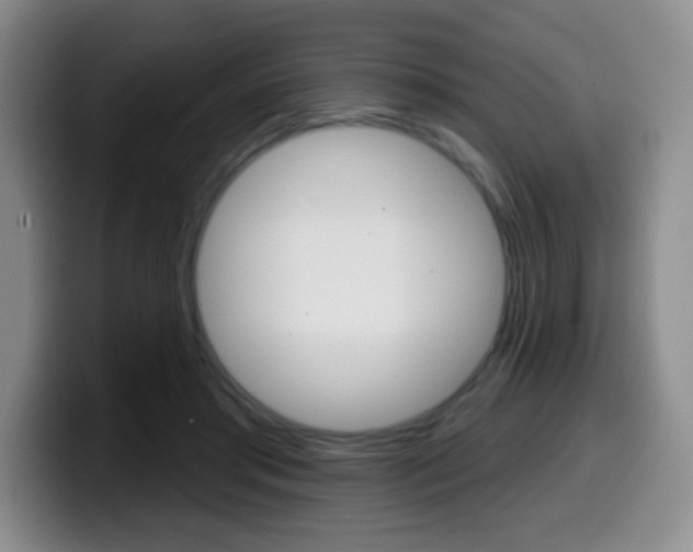 X0000099970405200805231006