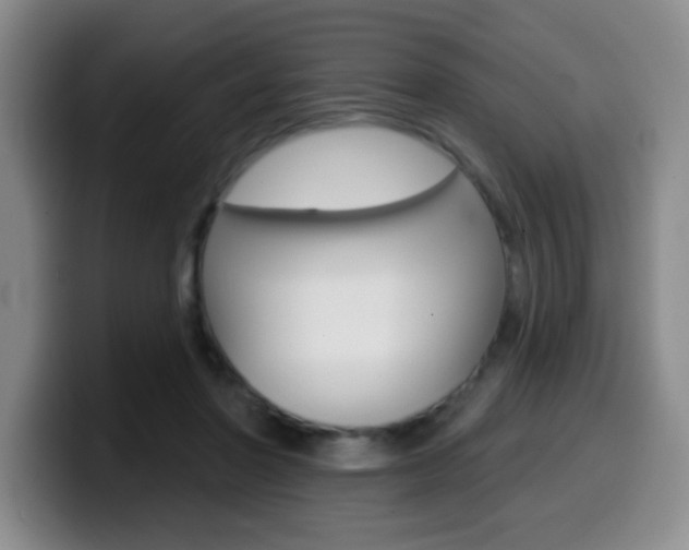 X0000099970406200805231006