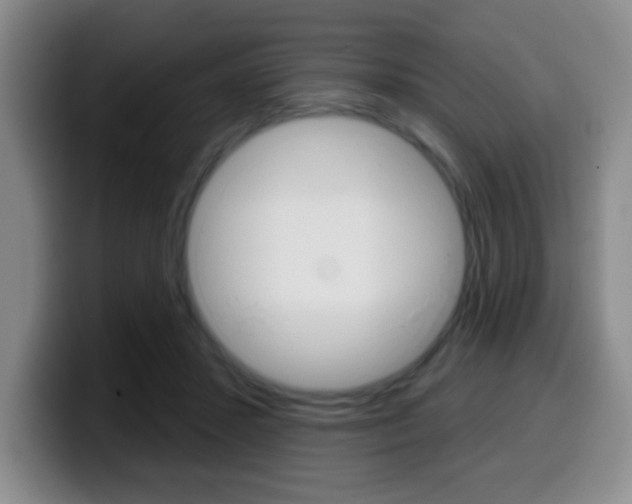 X0000099970407200805231006