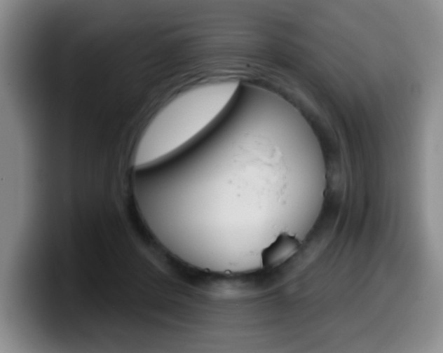 X0000099970408200805231006