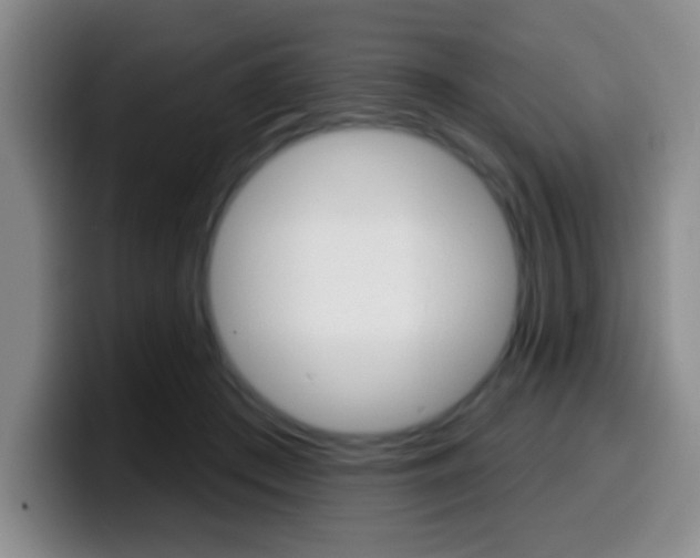 X0000099970409200805231006