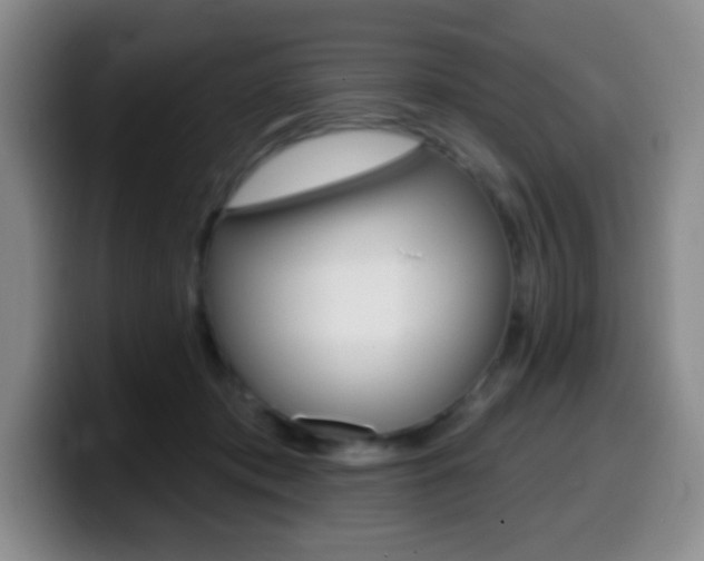 X0000099970413200805231006