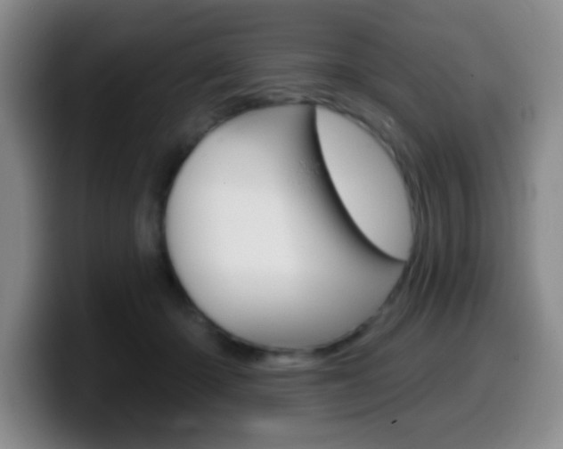 X0000099970414200805231006