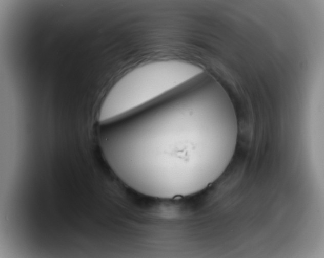 X0000099970416200805231006