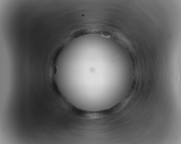 X0000099970417200805231006
