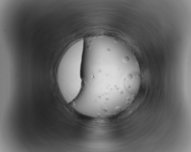 X0000099970418200805231006