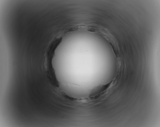 X0000099970419200805231006