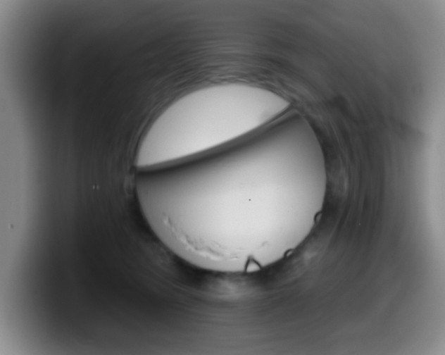 X0000099970420200805231006