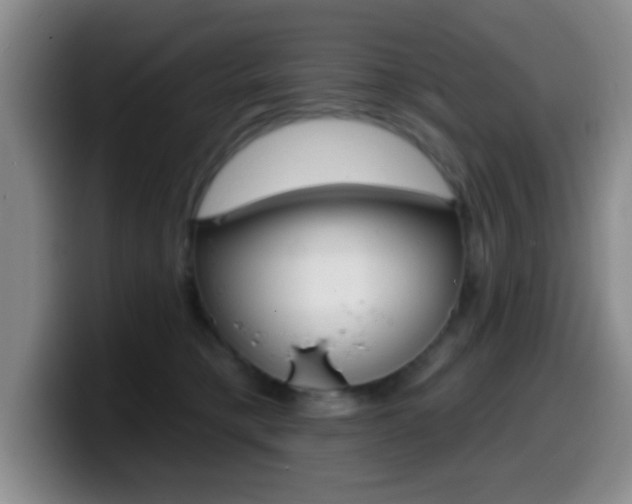 X0000099970421200805231006
