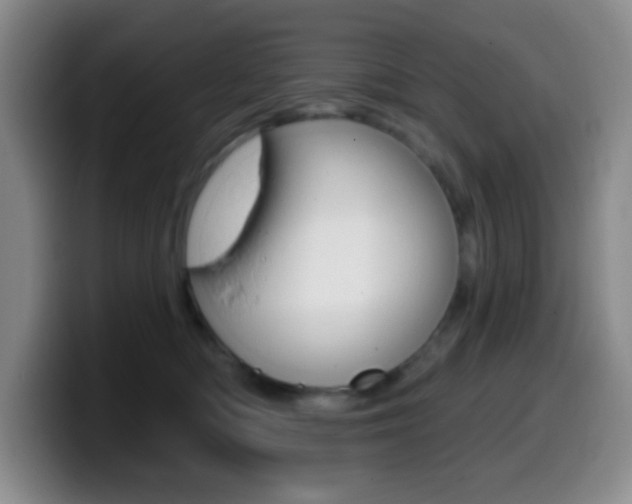 X0000099970422200805231006