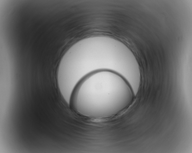 X0000099970423200805231006