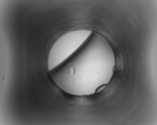 X0000099970424200805231006