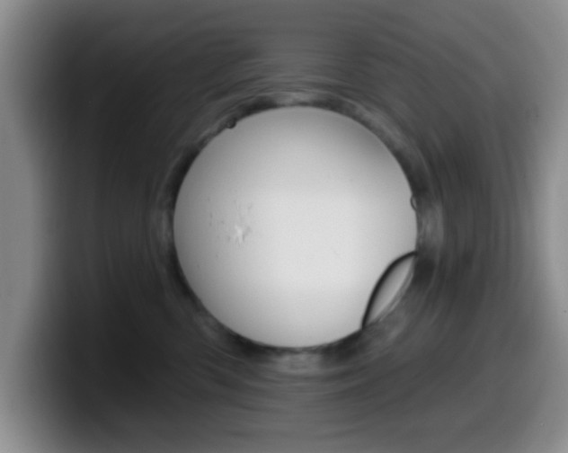 X0000099970426200805231006