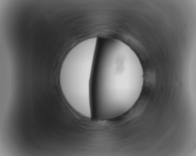 X0000099970428200805231006