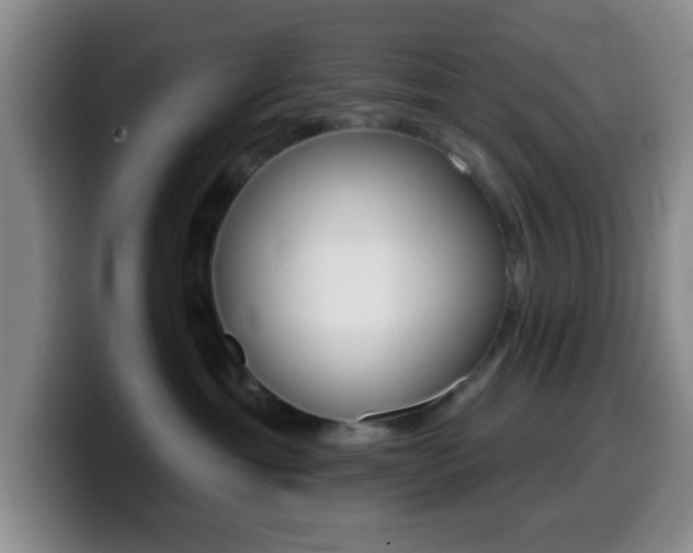 X0000099970429200805231006