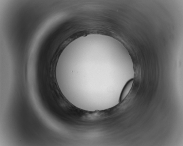 X0000099970430200805231006