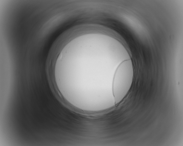 X0000099970431200805231006