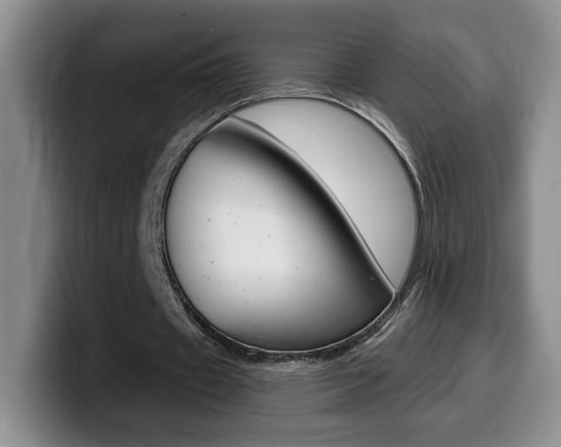 X0000099970433200805231005