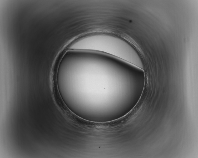 X0000099970436200805231005