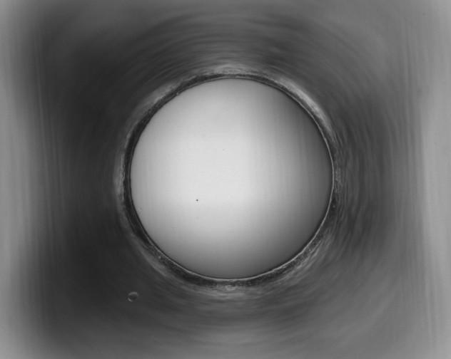 X0000099970437200805231005