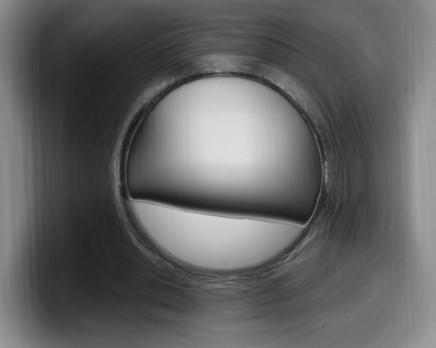 X0000099970438200805231005