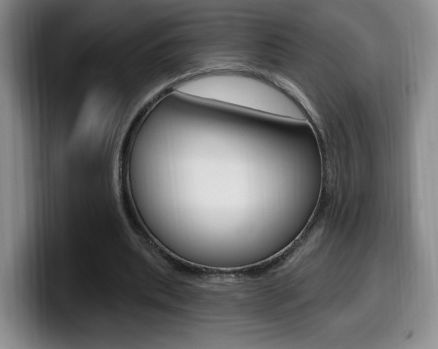 X0000099970439200805231005