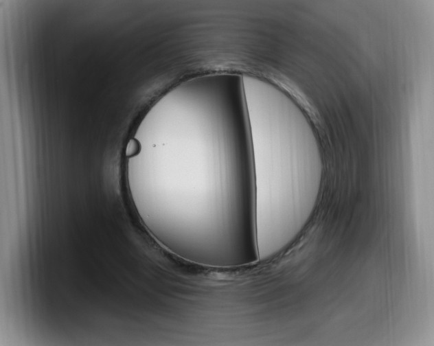 X0000099970442200805231005