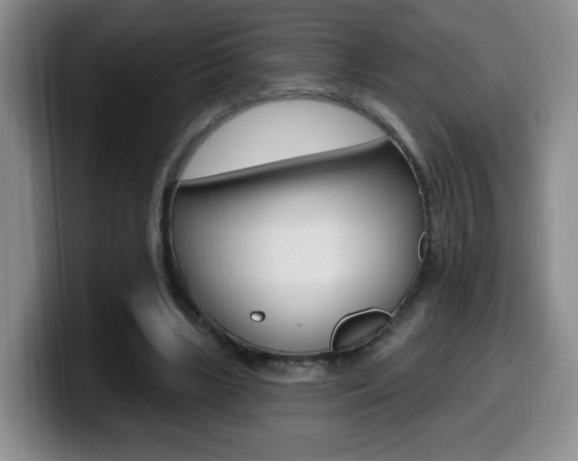 X0000099970443200805231005