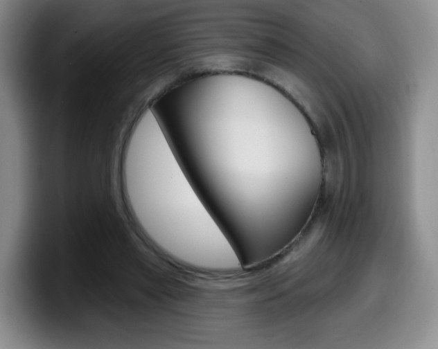 X0000099970445200805231005