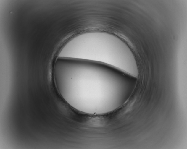 X0000099970446200805231005