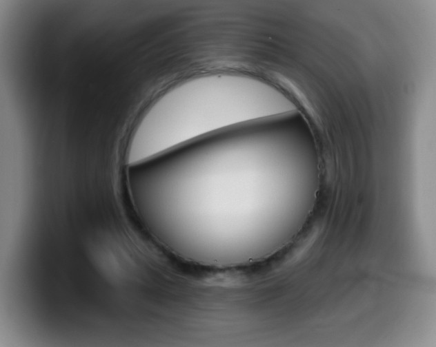X0000099970447200805231005