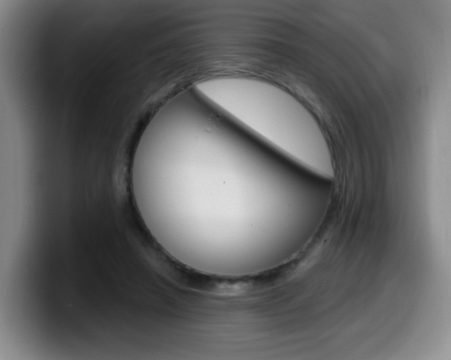 X0000099970450200805231005