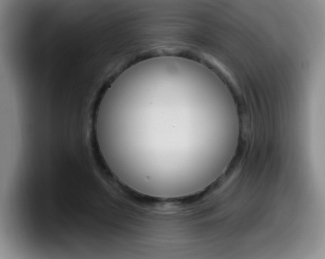 X0000099970451200805231005