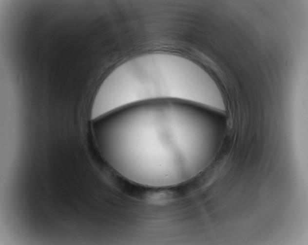 X0000099970452200805231005