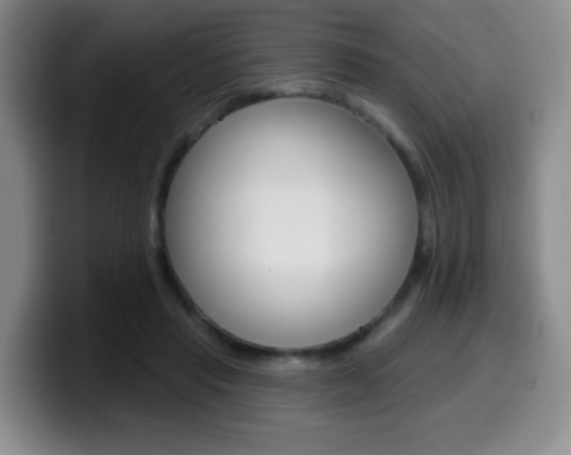 X0000099970453200805231005