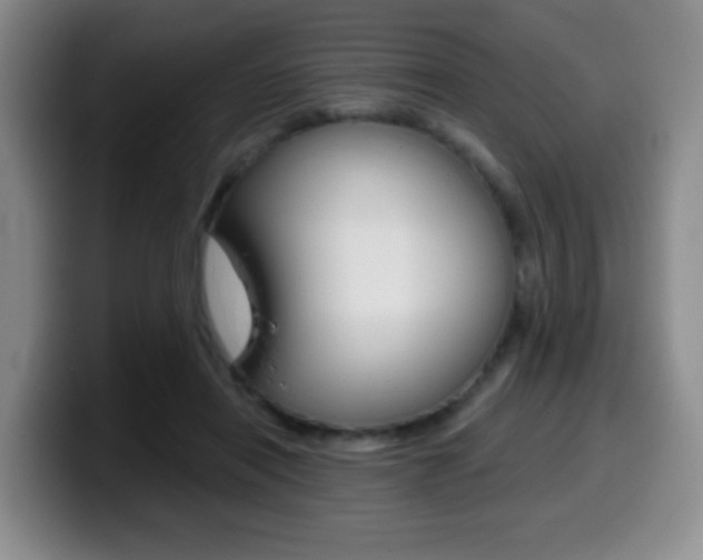 X0000099970454200805231005