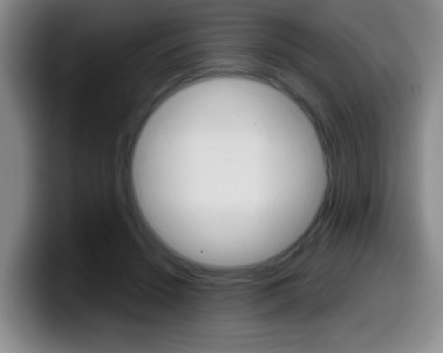 X0000099970456200805231005