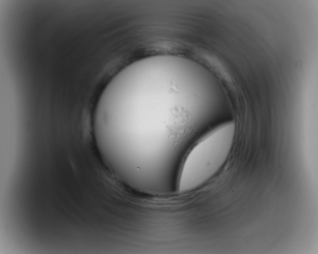 X0000099970457200805231005