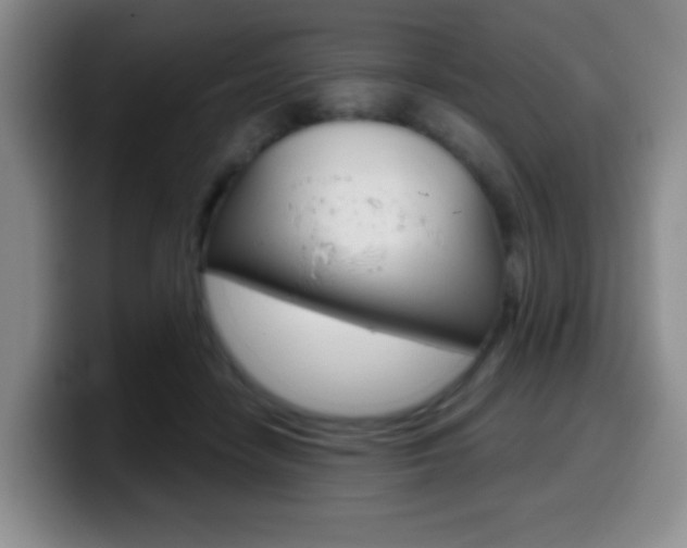 X0000099970458200805231005