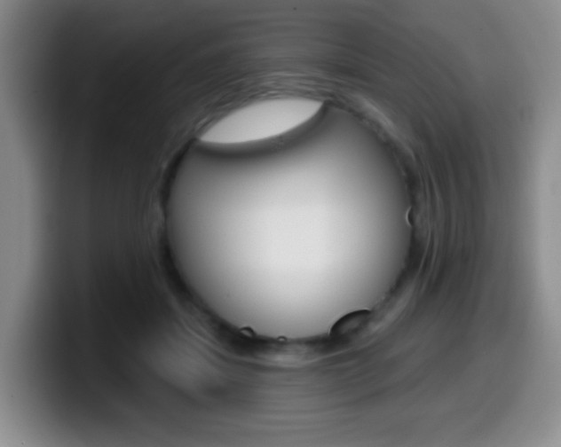 X0000099970459200805231005