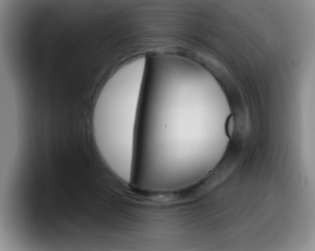 X0000099970461200805231005