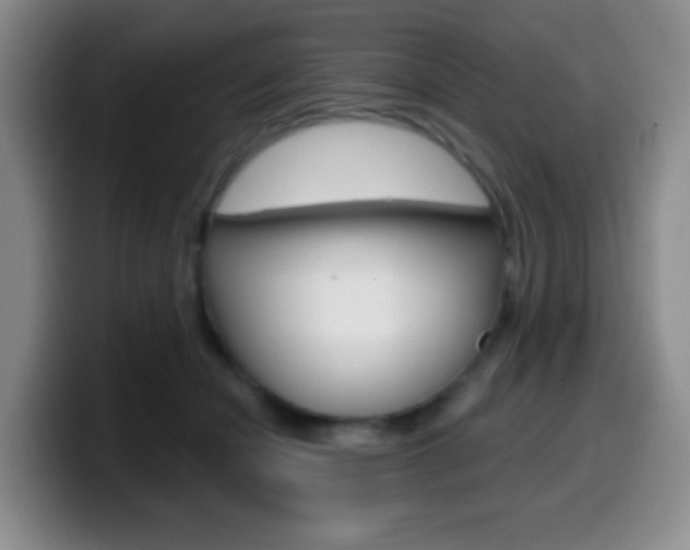 X0000099970462200805231005