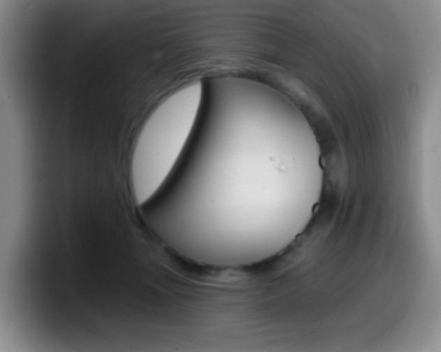 X0000099970463200805231005