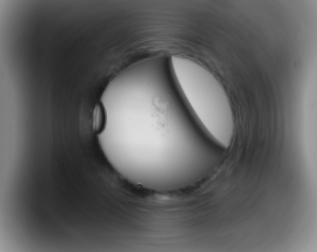 X0000099970464200805231005